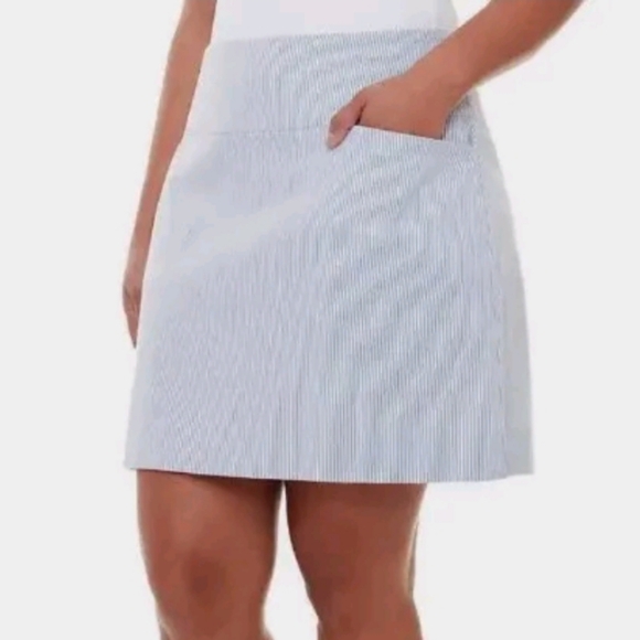 S.C. & CO Blue Pinstriped Golf Skort Sz XXL - Picture 1 of 14